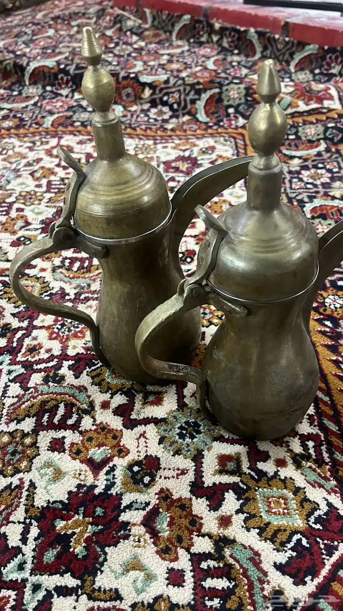 اعرض لكم دلتين من القدام اصليه البيع عل السوم الموقع الحرجه 0