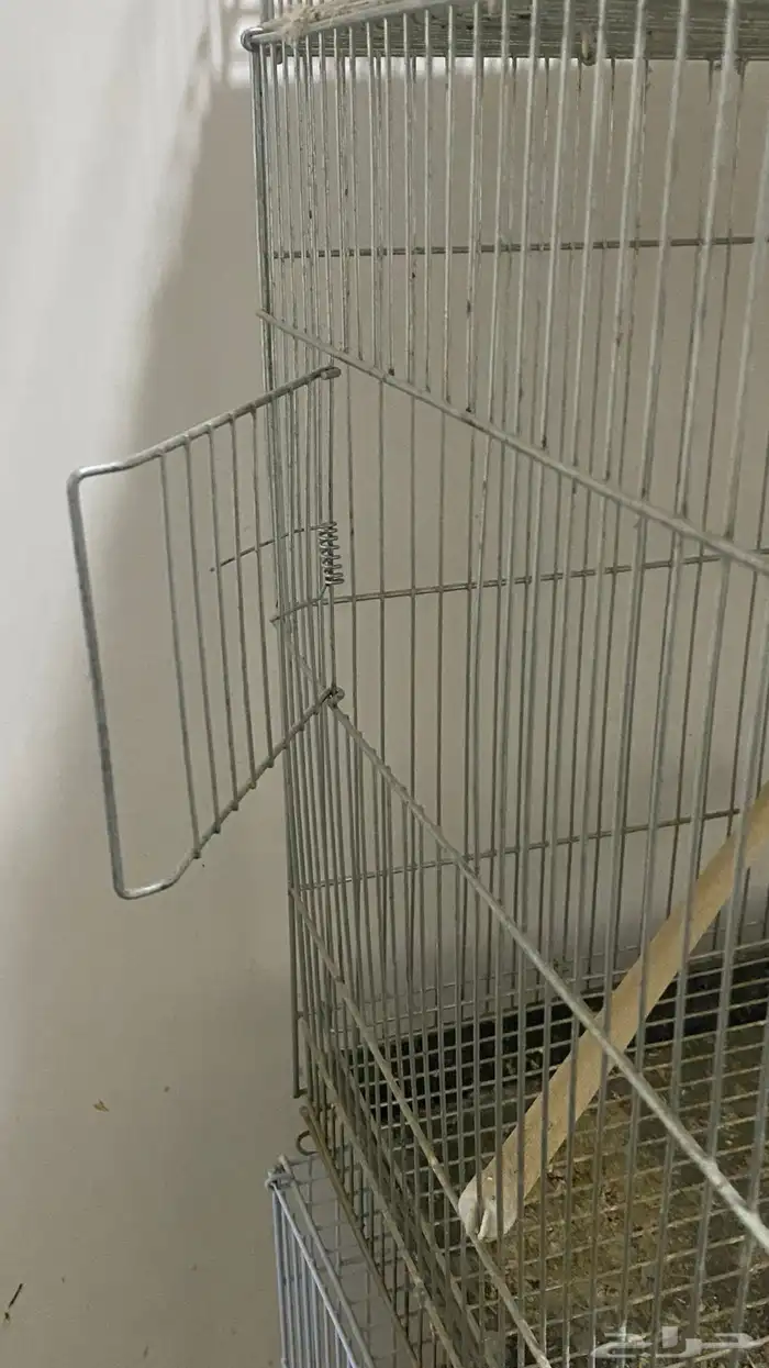 اقفاص ببغاء 2