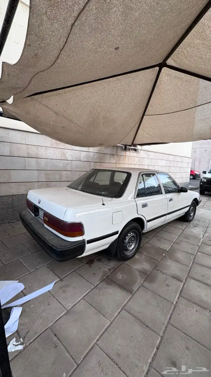 كرسيدا 96 للبيع اكس ال 3