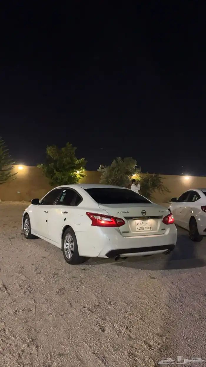 التيما 2017 ممشى 317 11