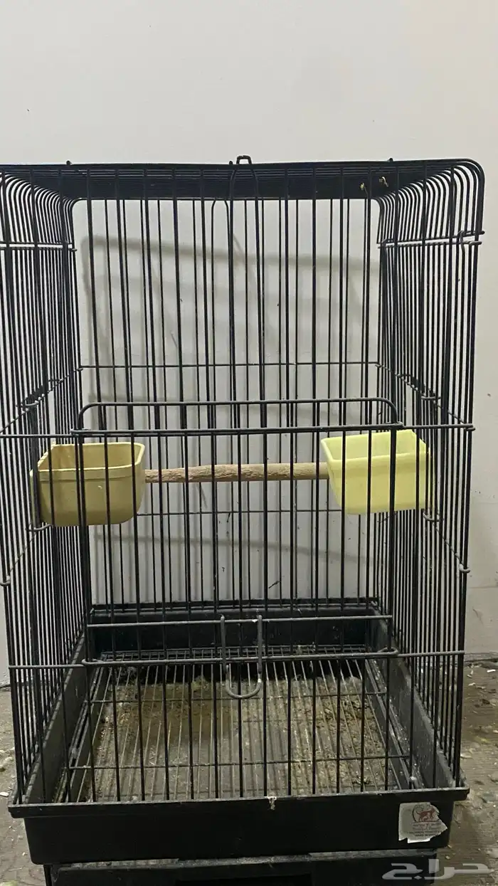 اقفاص ببغاء 3