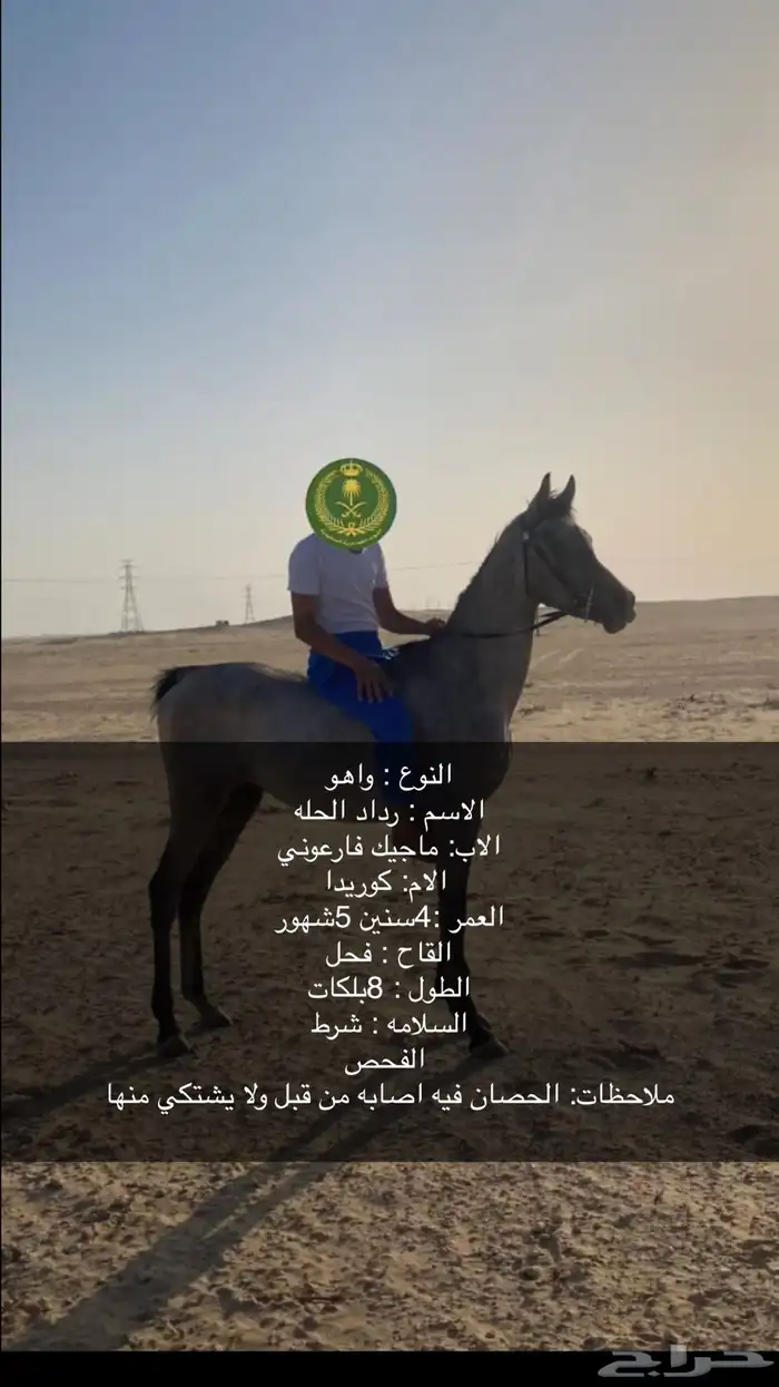 خيل واهو 0