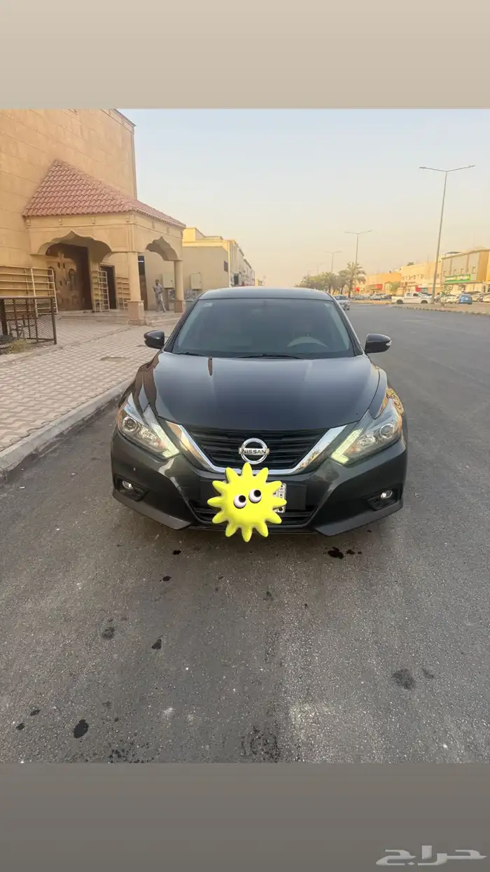 التيما 7