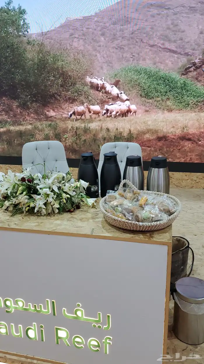 قهوجي ومضيف قهوجي وصبابين 16