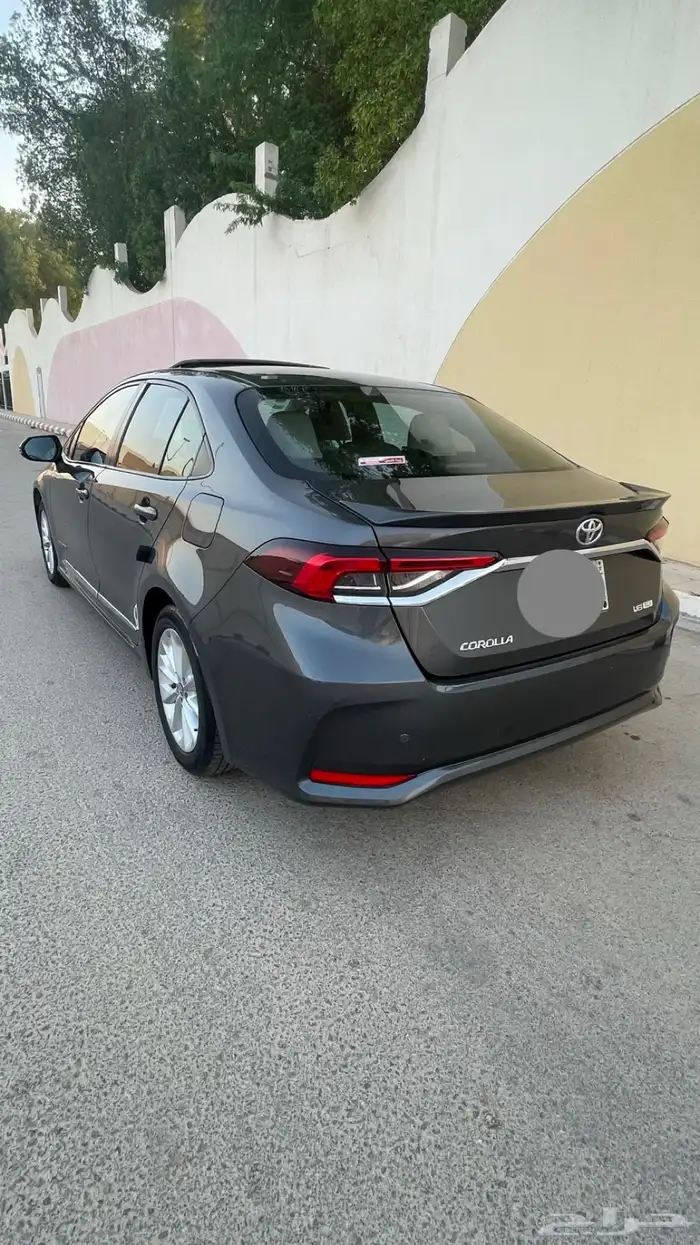 كورلا 2020 بدي وكالة 19