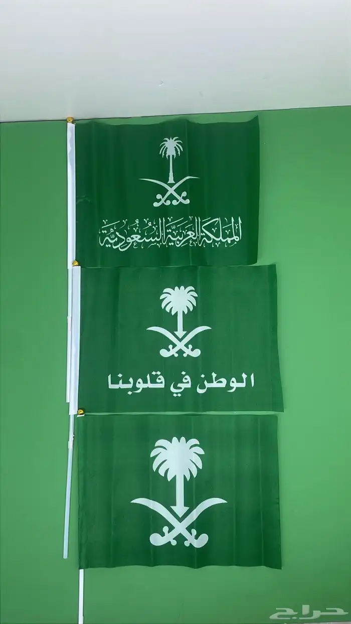 اعلام اليوم الوطني 4
