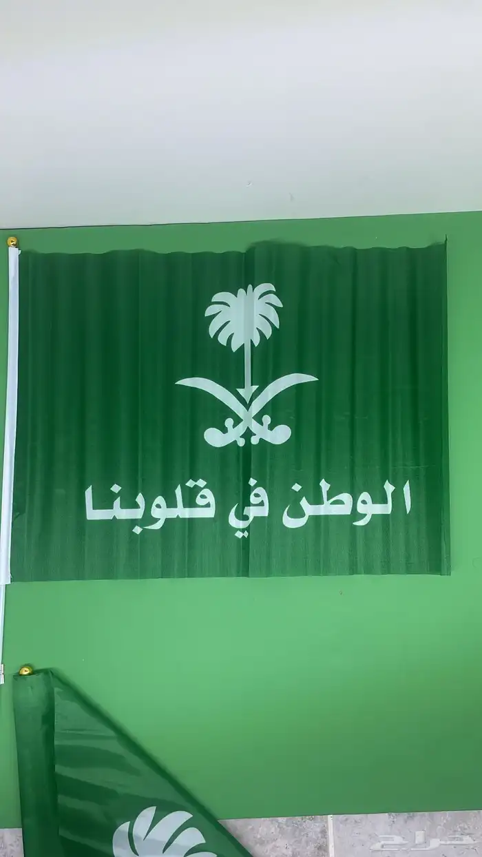 اعلام اليوم الوطني 5