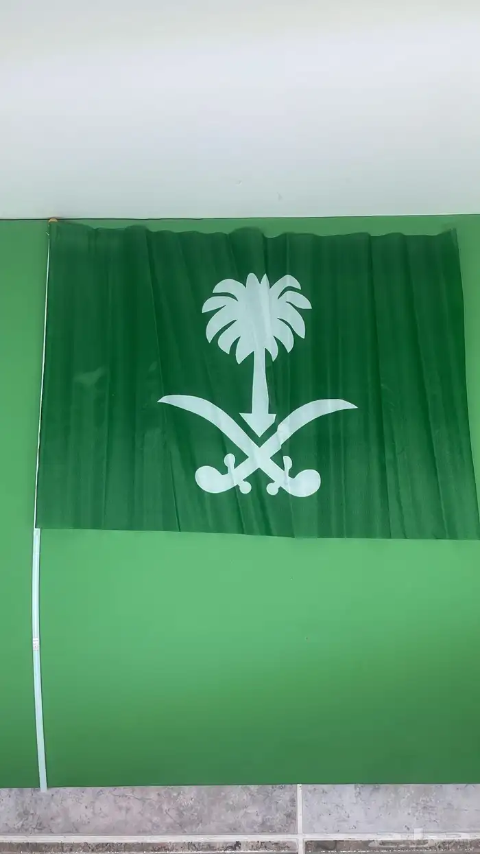 اعلام اليوم الوطني 6