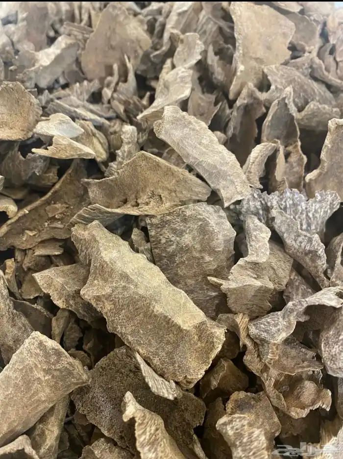 مجموعة عود طبيعي ومحسن لجميع المناسبات 2