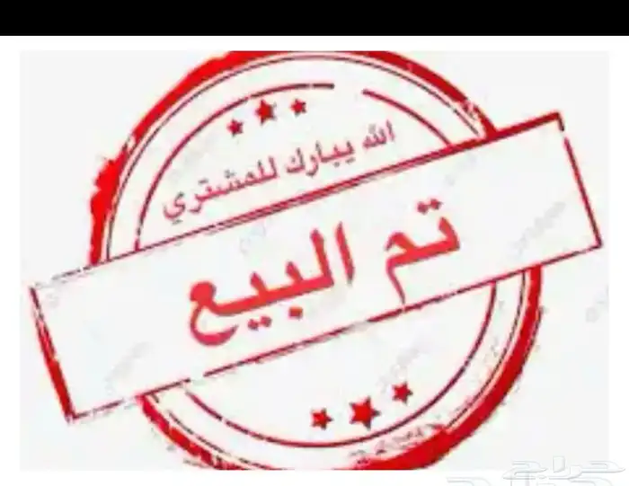 عنز حايل 1