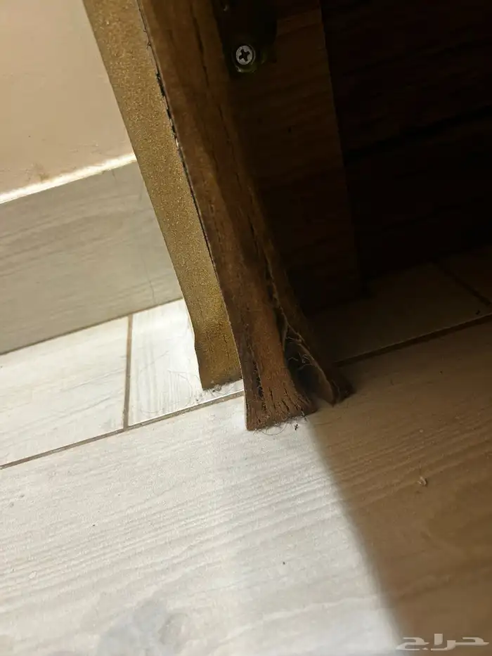 ثلاث كراسي بدون مراتب 2
