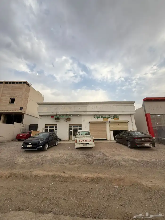 معارض للبيع 3