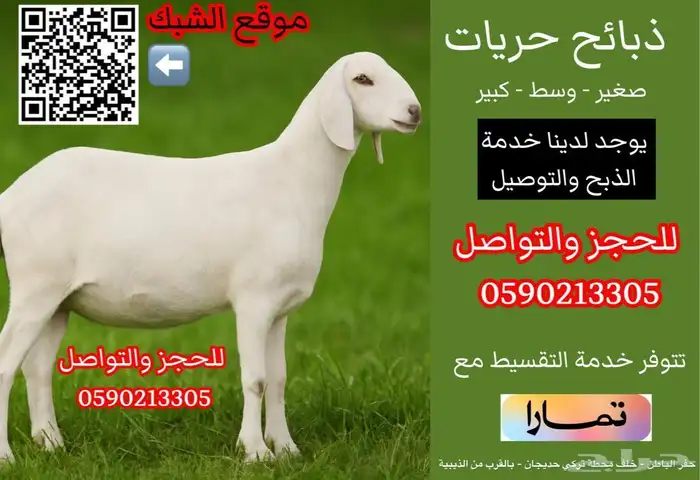 طليان ذبايح 0