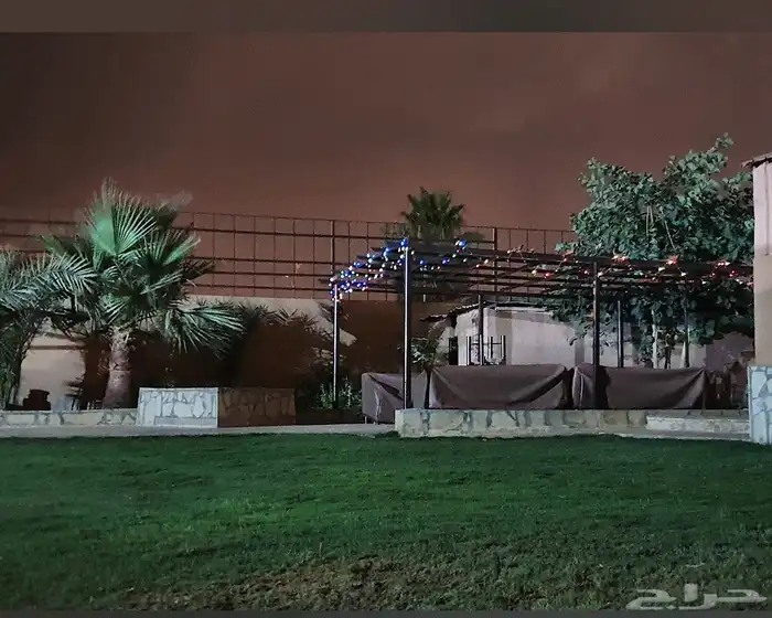 استراحة ساس النخيل 3