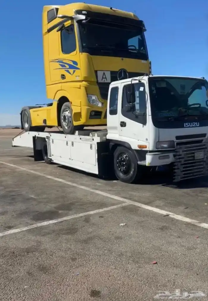 لوبد مسكس القنفذه 0