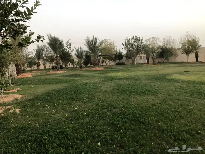 للبيع استراحة ومزرعه 4