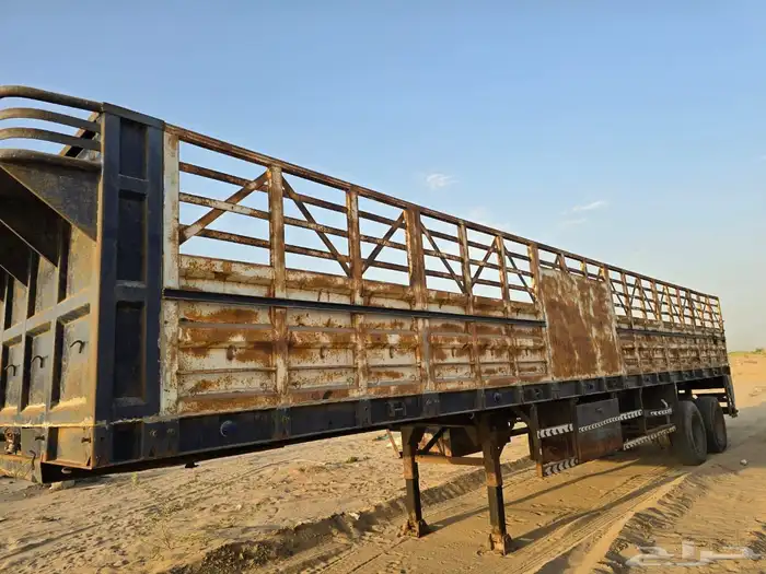 تيدر جوانب 6