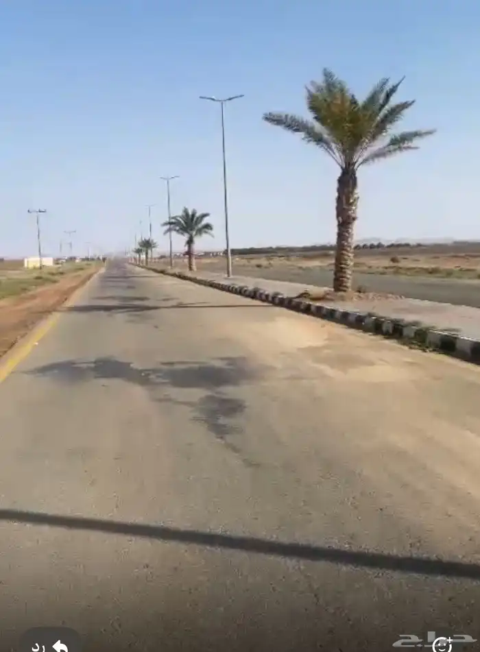 ارض زراعية حائل الروضة مساحه 116000 ب 400 الف 0