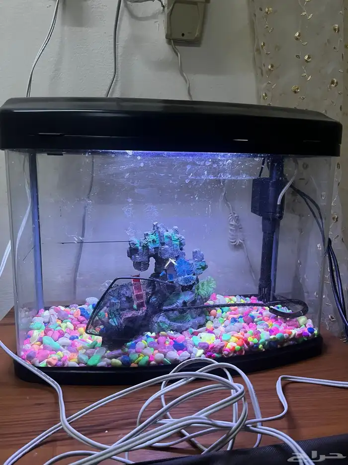 حوض سمك متوسط الحجم 0