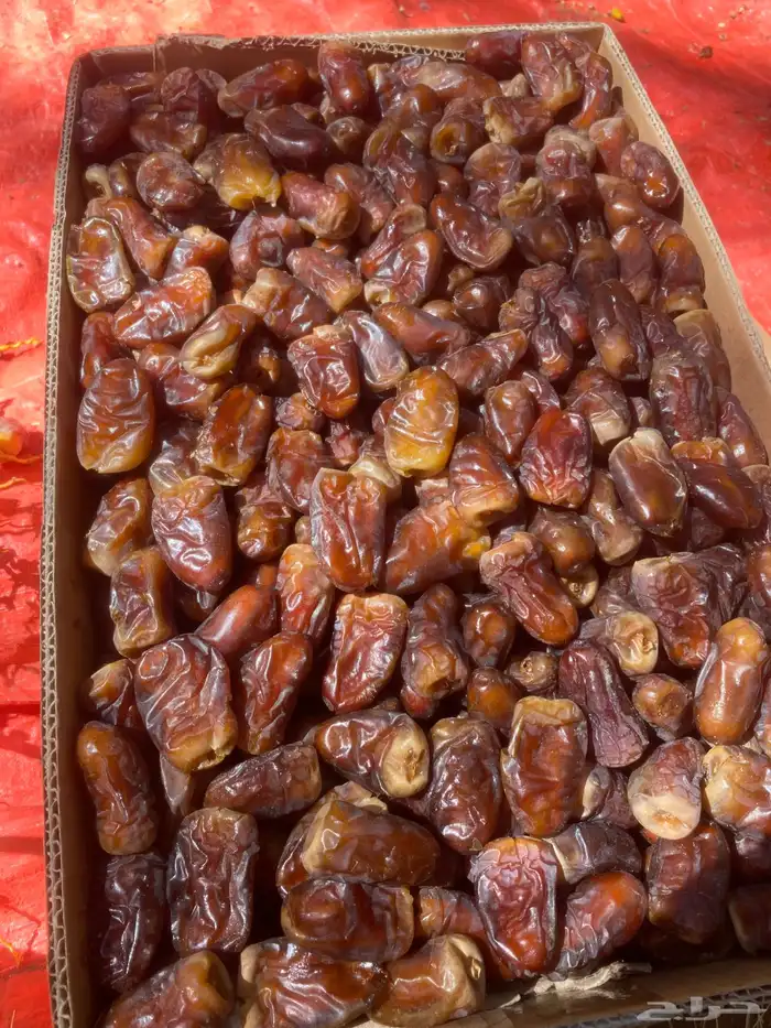 برني العيص فاخر 1