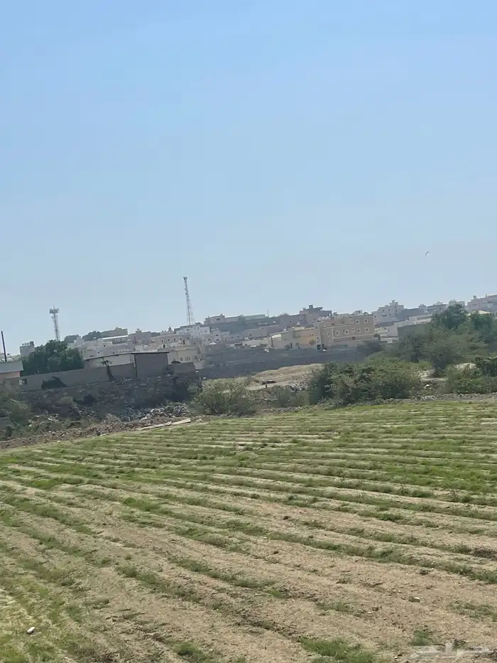 محميات زراعيه للايجار 4