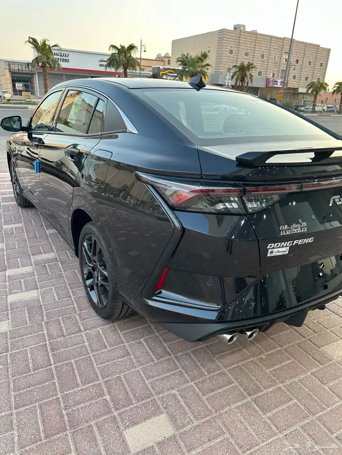 دونج فونج شاين 2025 22