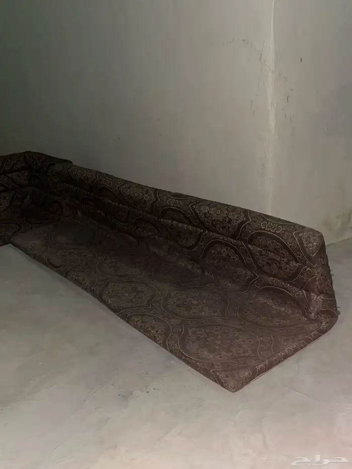 سلام عليكم اعرض لكم كنبات جديدات 1