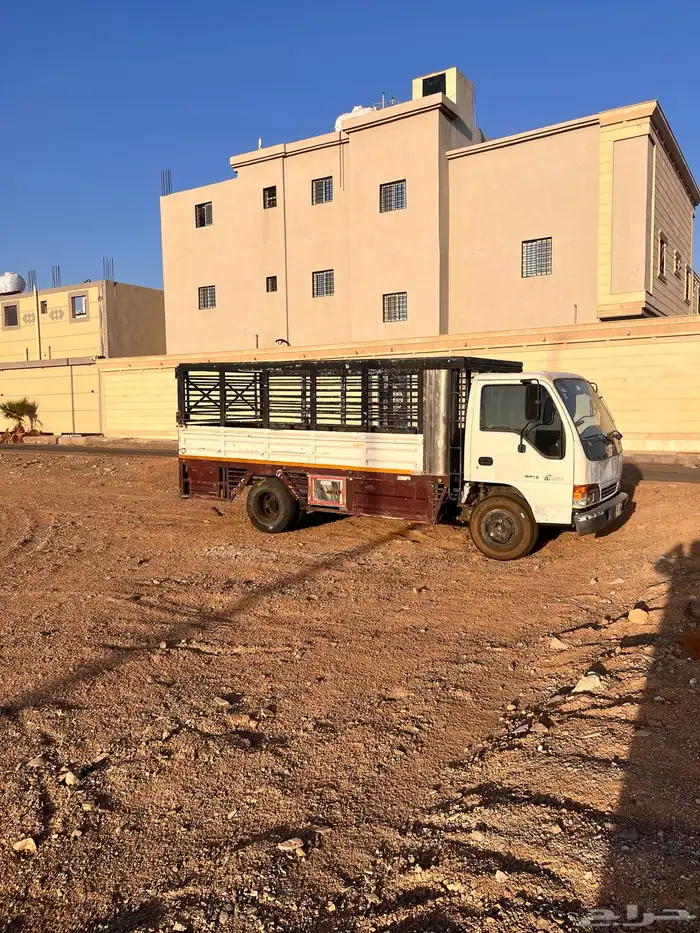دينه ايسوزو 1