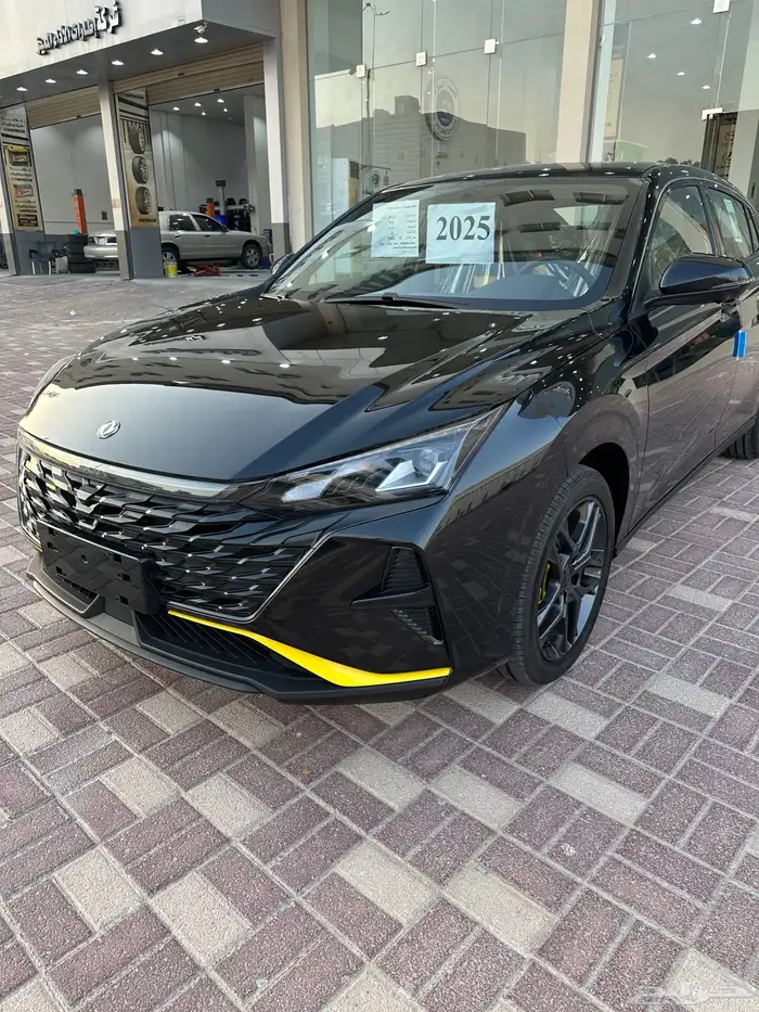دونج فونج شاين 2025 5