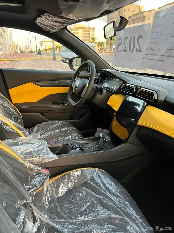 دونج فونج شاين 2025 19