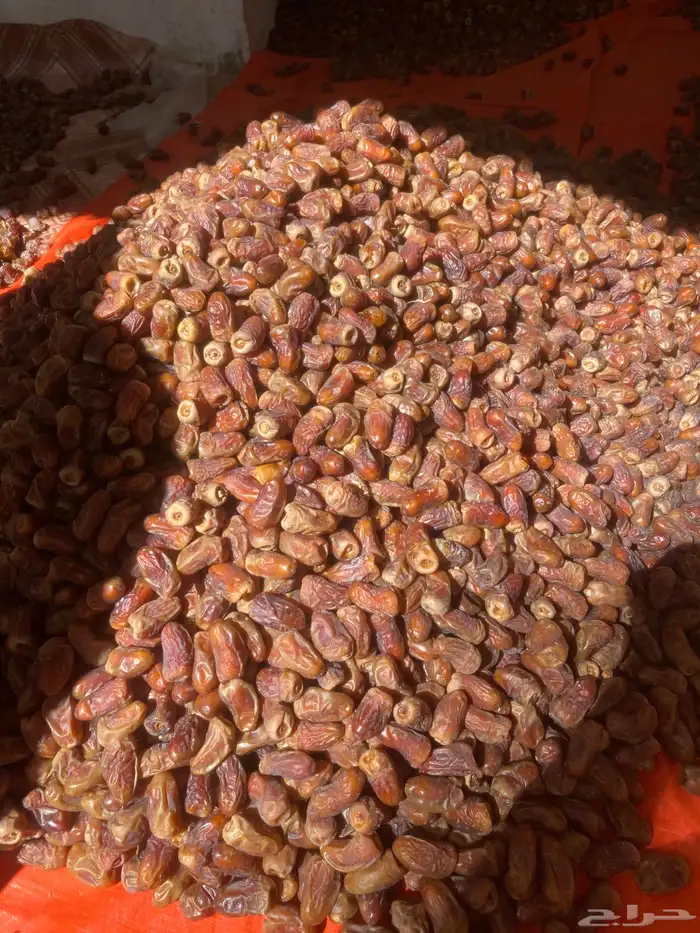 برني العيص فاخر 0