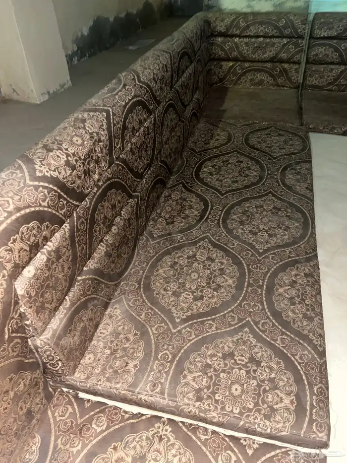 سلام عليكم اعرض لكم كنبات جديدات 6