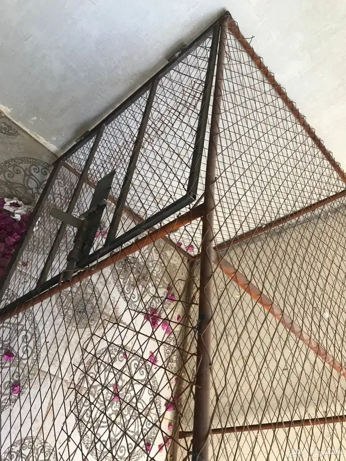 شبك للطيور والحيوانات 2