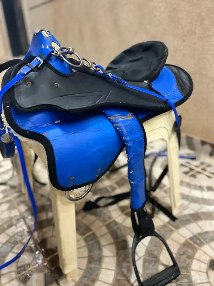 سرج خيل مع كامل أغراضه   لجام   صداره 5