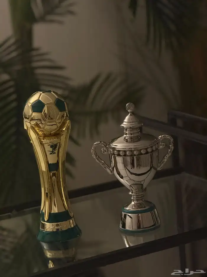 بكج الدوري والكأس للاتحاد 2