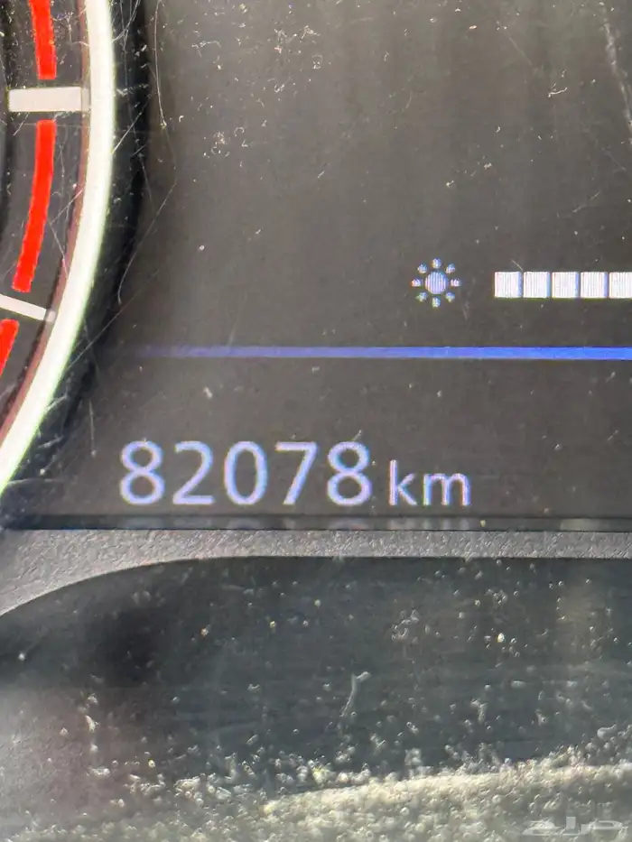 التيما 2023 نص فل 7