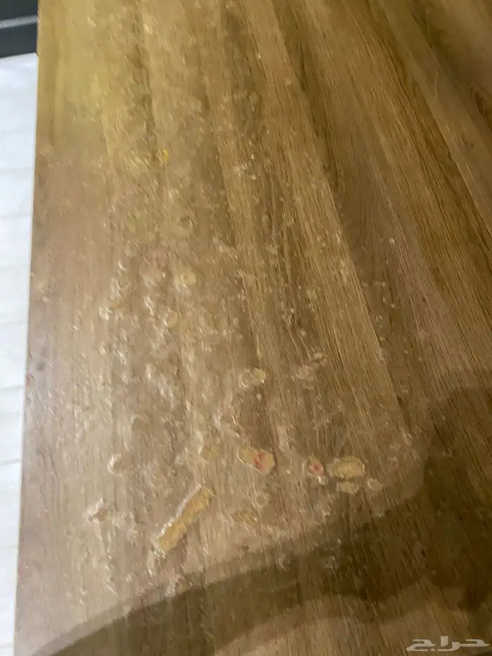 طولت طعام مع كرسين 1