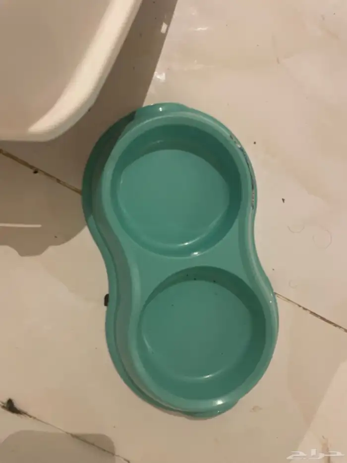 ليتر بوكس قطط وصحن اكل 1