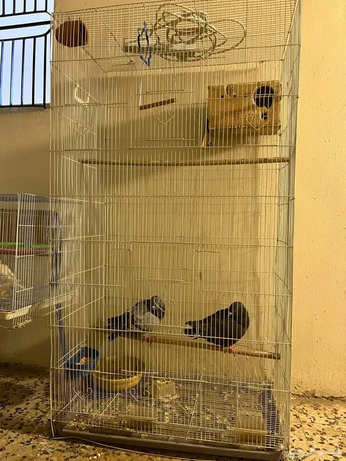 أغراض 0