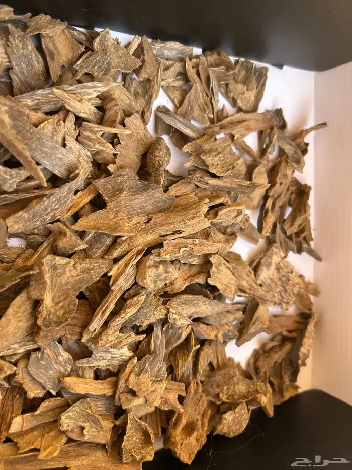 عود طببعي مشكل دبل وتربل 1