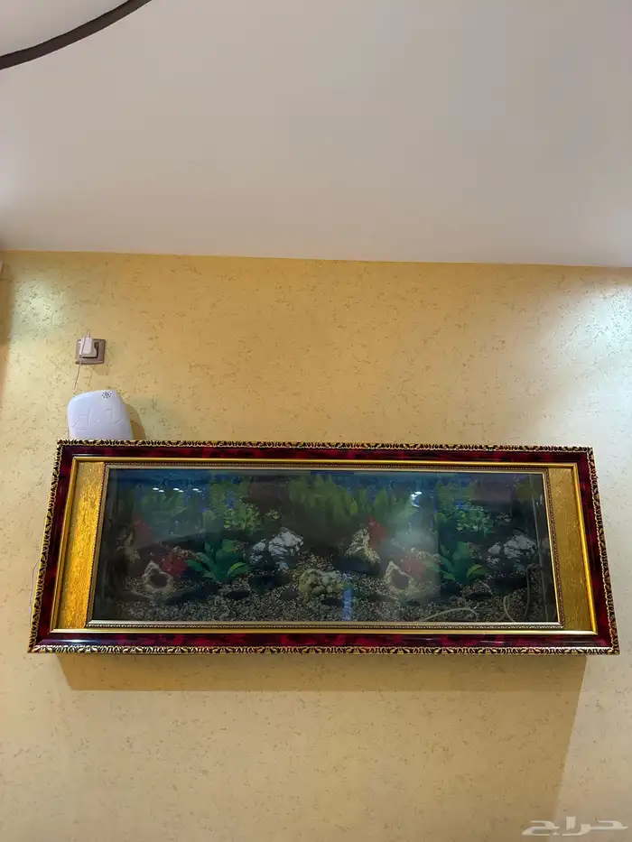 حوض سمك 0