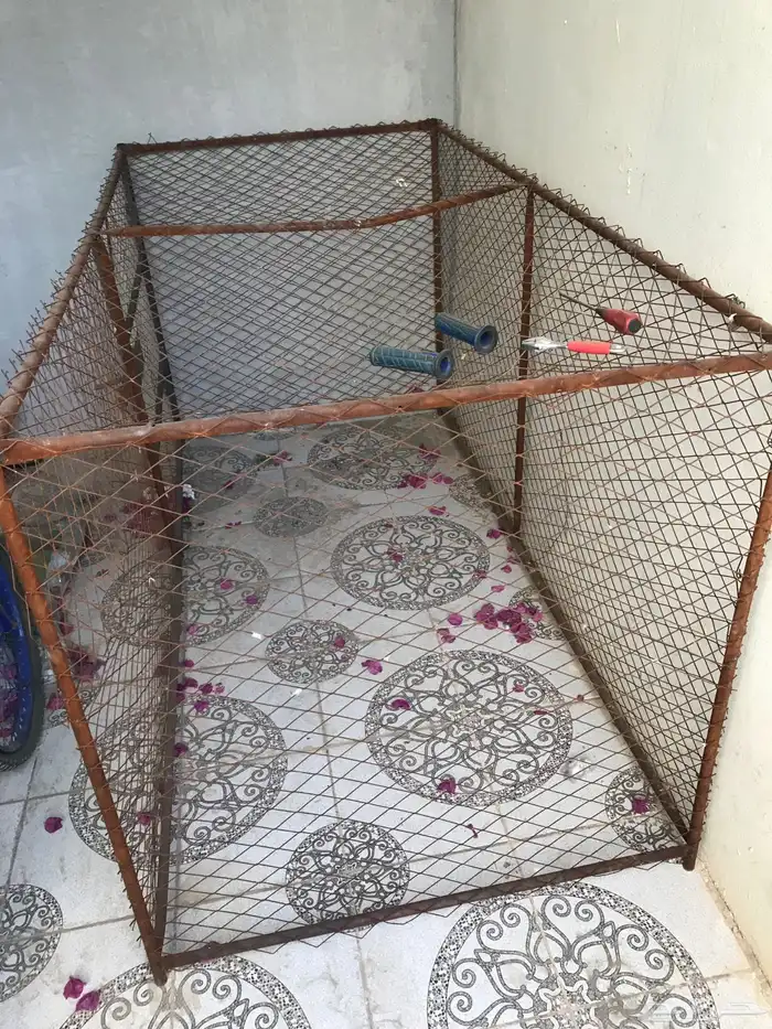 شبك للطيور والحيوانات 1