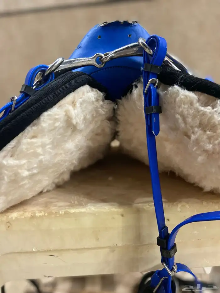 سرج خيل مع كامل أغراضه   لجام   صداره 4