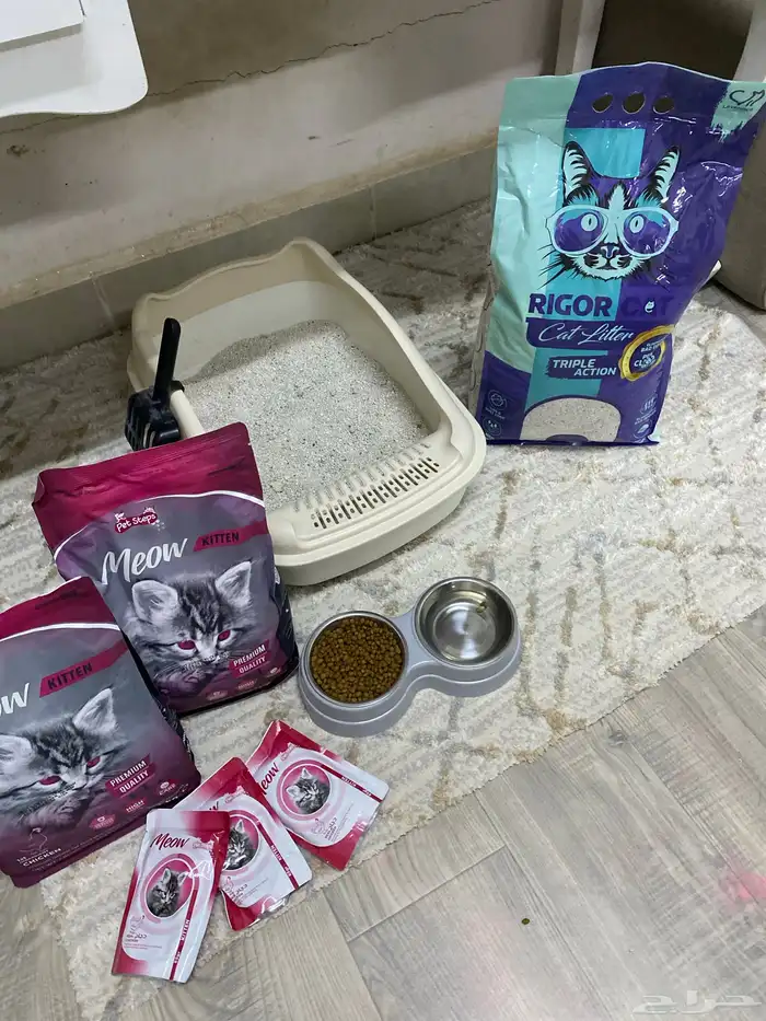 قطة للتبني مع اغراضها للبيع 2