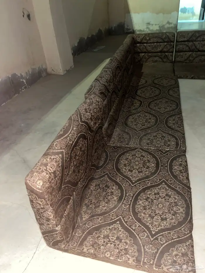 سلام عليكم اعرض لكم كنبات جديدات 5