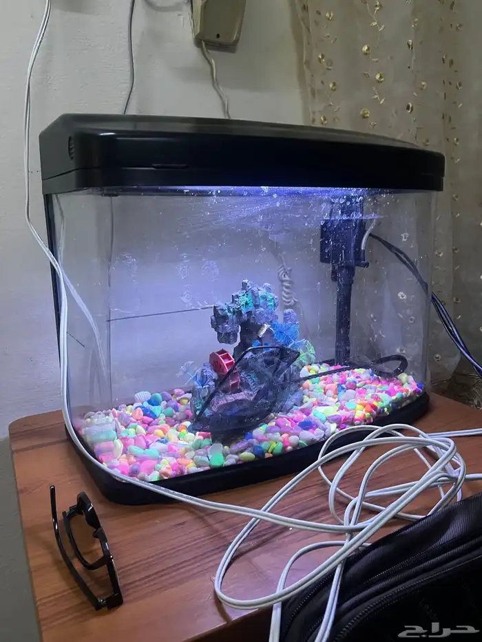 حوض سمك متوسط الحجم 1