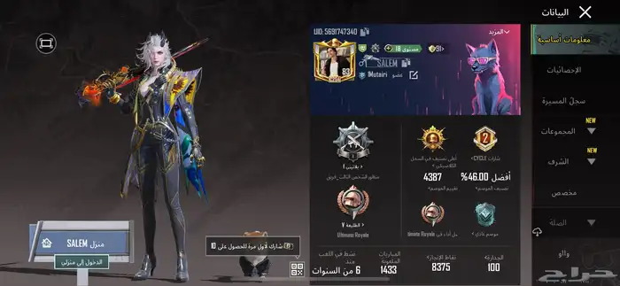 حساب ببجي للبيع 1