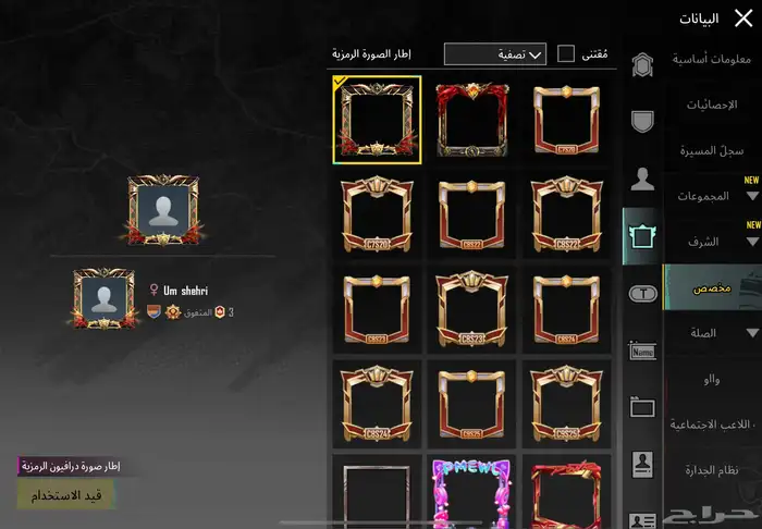 حساب ببجي 4