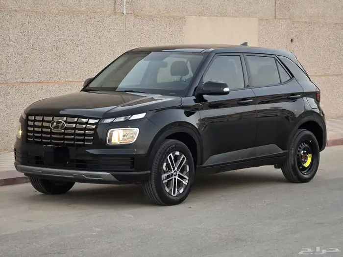 فينو 2023 3