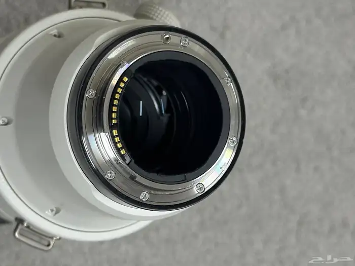 Canon RF 100-300mm f 2.8 5